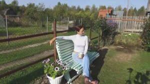 6 соток 24 сентября 2020 года. Демонтировала забор, гладиолусы.