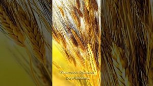 ЭНЕРГИИ ИСТИННЫХ МИРОВ, нашего ДОМА, ДОСТАТКА 💖🧬💎💕