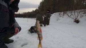 БЕЗМОТЫЛКА В ЯНВАРЕ 2023Г.