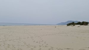 День#9 Пидней Патара