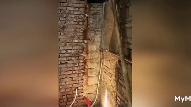 20 ноября 2022 г. смотреть онлайн