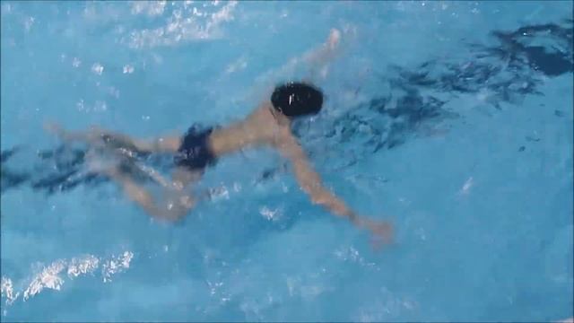 Дельфин. Учимся плавать дельфином. смотреть онлайн