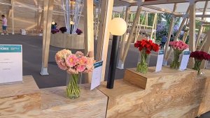 Выставка цветов на ВДНХ