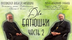Почему дети болеют? Враги человеку - домашние его / ДВА БАТЮШКИ иерей Владимир Суханов / ЧАСТЬ 2