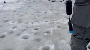 Видеообзор с водоема