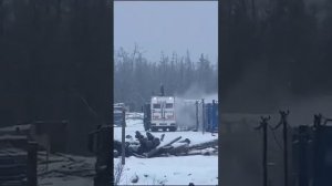 Медведь шатун напал на человека.