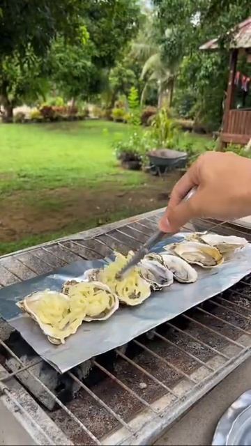 OYSTER BAKED MOZARELLA CHEESE смотреть онлайн