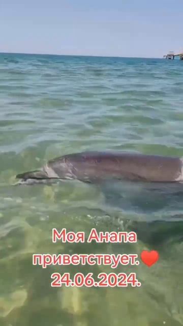 Анапа. Реально можно сойти с ума от такого зрелища каждый день на Джемете смотреть онлайн