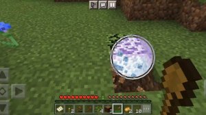 Играю в Minecraft на Выживание