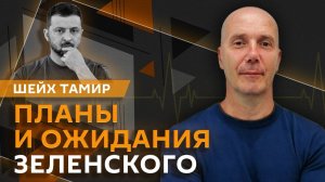 Шейх Тамир. Условия Трампа, проблемы Курской области, газовый хаб на Украине