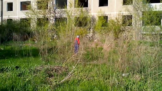 Пись-пись-пись смотреть онлайн