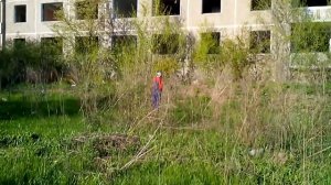 Пись-пись-пись