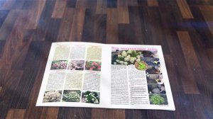 Декоративные растения в саду (тематический вестник)