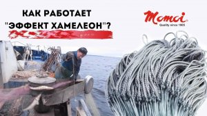 Промышленный лов судака на Ладоге. Рыболовные сети. Сетеполотна Hameleon