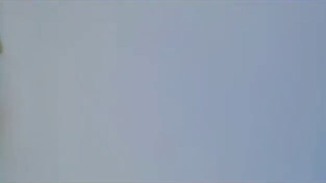 Говорящий кот пишет пимьмо пропавшему другу.Первый влог говорящего кота.#кот #животные #кошки смотреть онлайн