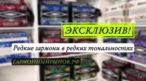 Редкие гармони в редких тональностях! Обзор ассортимента! #гармонь #купитьгармонь #шуйскаягармонь