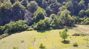 Село Ахалсопели в Абхазии