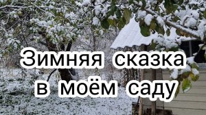 Зимняя сказка в моем саду.❄️ Новый домик у мышонка