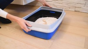 ARIEL 10 PLUS  CAT TOILET video