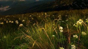 ВИА "Червона рута" 1992 г. "Бескiдом iшла". Закарпатская народная песня.