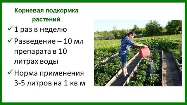 Микробиологическое удобрение "Сияние" (видеоинструкция)