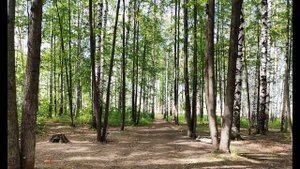 И Бунин Слово #стихиовечныхценностях #поэтысеребряноговека