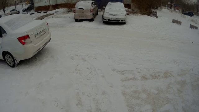 Рубцовск. Первые черёмушки.😊