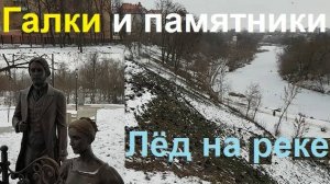 250210 Сотни галок пасутся в Дворянском Гнезде Зимний вечер, река, снег лежит кое-где г Орёл р Орлик