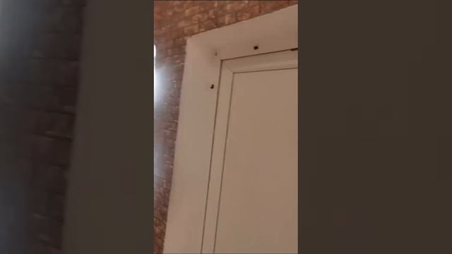 VID-20250210-WA0009.mp4 смотреть онлайн