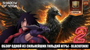 ОБЗОР BLACKFENIX: ЧАСТЬ 2! ОДНИ ИЗ СИЛЬНЕЙШИХ! Тени Пика | Конфликт хидзюцу