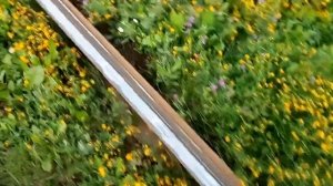 Рельс в воздухе