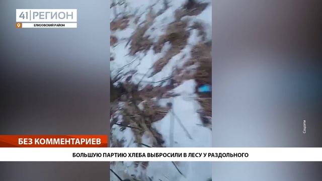 БОЛЬШУЮ ПАРТИЮ ХЛЕБА ВЫБРОСИЛИ В ЛЕСУ У РАЗДОЛЬНОГО • БЕЗ КОММЕНТАРИЕВ