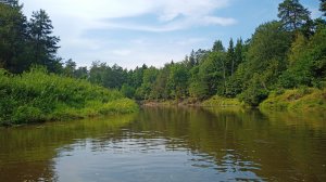 Лето, Жиздра и Дубы!