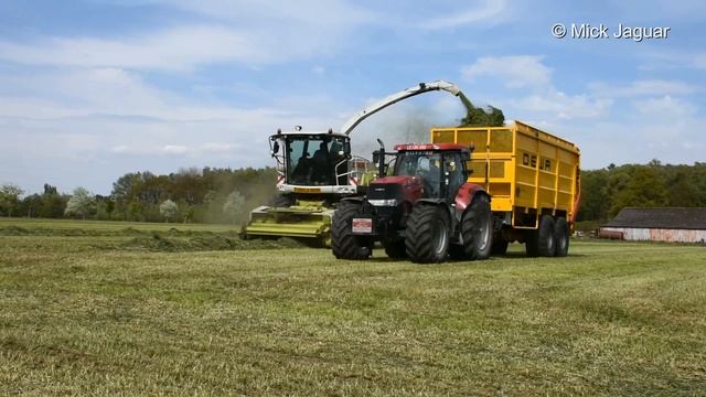 Claas Jaguar 950 & Case IH Optum 300 cvx & Puma 230 cvx & MAN & DEWA - Wilvagro bvba смотреть онлайн