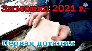 Первая подкормка слабых отводков в  декабре 2021 г. Главное не опоздать!!!