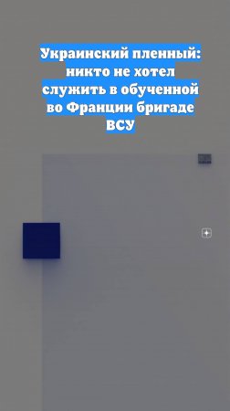 Украинский пленный: никто не хотел служить в обученной во Франции бригаде ВСУ