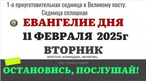 11 ФЕВРАЛЯ ВТОРНИК ЕВАНГЕЛИЕ АПОСТОЛ КАЛЕНДАРЬ ДНЯ  2025 #евангелие