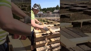 Щиты - поддоны на поле для улиток. Улиточная ферма в Удмуртии