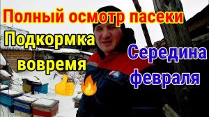 Пчелам СРОЧНО нужна подкормка!!! Полный осмотр пасеки. Пчеловодство на Урале