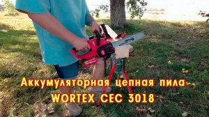 WORTEX СЕС 3018 Аккумуляторная цепная пила