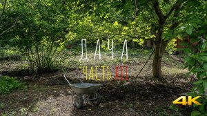 ДАЧА / ЧАСТЬ XII / ДАЧНЫЕ БУДНИ. КУПИЛ ЗАБРОШЕННЫЙ ДАЧНЫЙ УЧАСТОК.