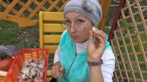 6 соток 5-7 октября 2020 года. Снова на дачу! Сделала крошево, компот из винограда и яблок.