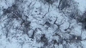 Роботы на СВО