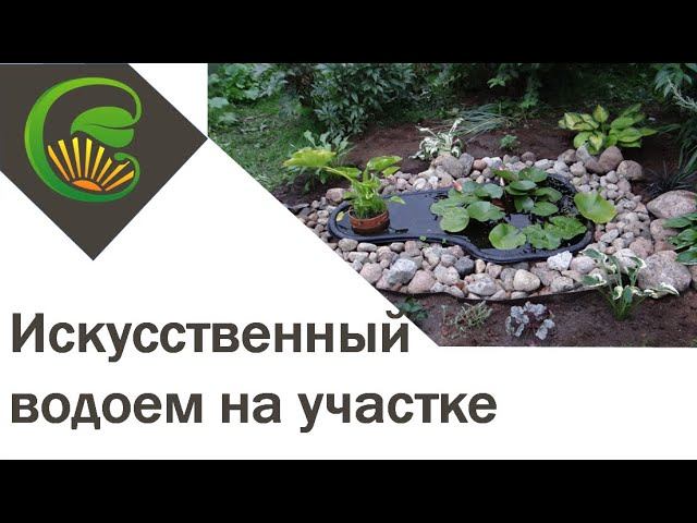 Искусственный водоем на садовом участке