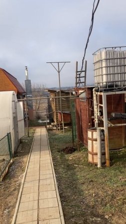 Зима без снега #зима #зима2025 #погода #деревня #жизньвдеревне #деревенскаяжизнь #домвдеревне