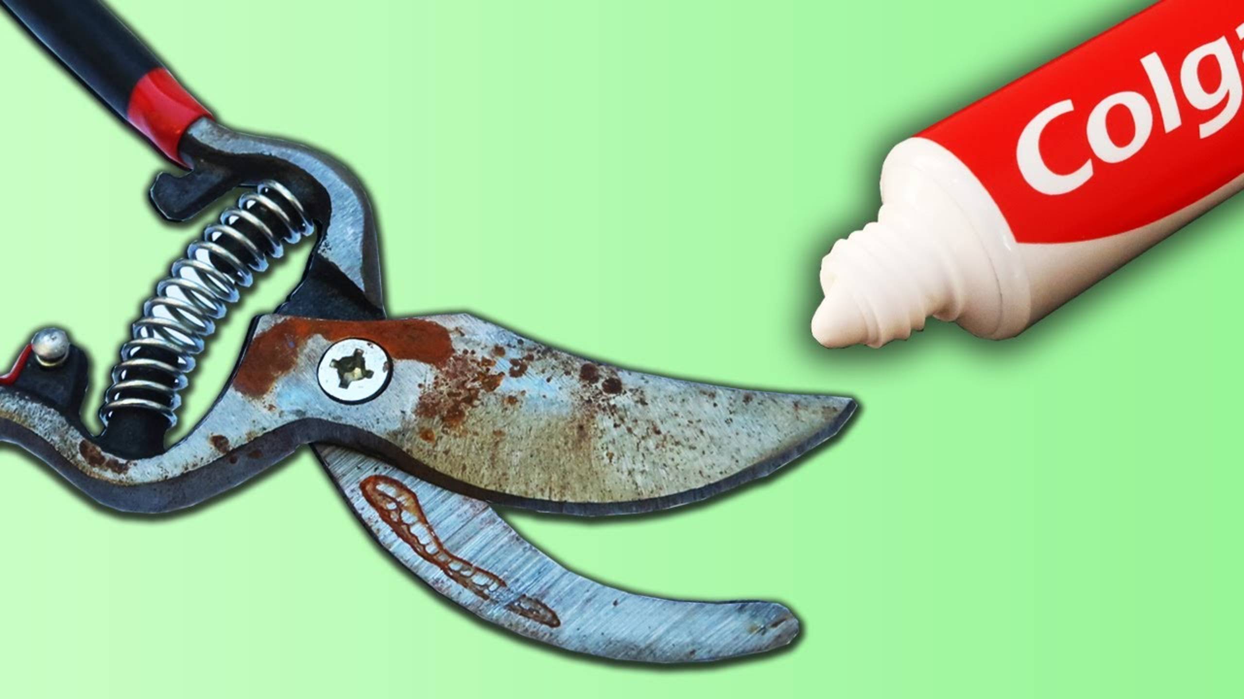 Как заточить секатор! Гениальный способ!
