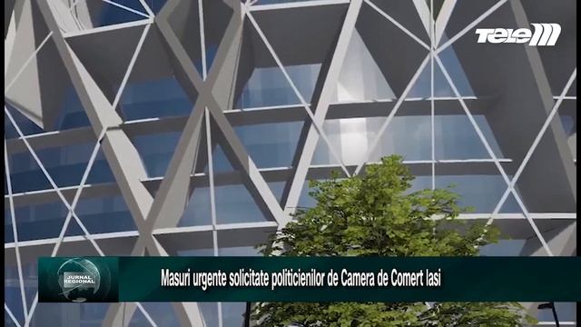 Camera de Comert Iasi solicita proiecte concrete din partea politicienilor