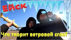 Что творит ветровой сгон! Азовское море. Рыбалка голыми руками. Ейск.