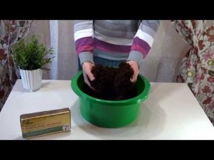 Подготовка кокосового брикета к использованию при выращивании растений