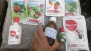 Мой минимум препаратов. Фунгициды и инсектициды.